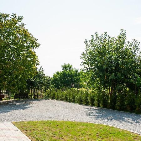 Pensiunea Vlad Arad Exterior photo